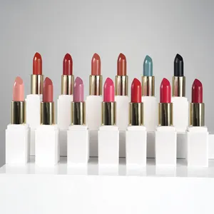 53 Farben Private Label Matte Luxus Nude Brown Vivid Rosy Red Wasserdichter langlebiger cremiger Lippenstift