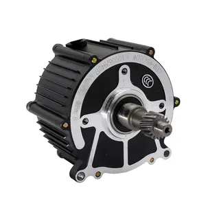 48 V 60 V 350 W-1000 W Hochdrehmoment-Dc-Motor Elektrofahrzeug Motorregler Bldc bürstenloses Motorrad Elektro-Dreirad-Dc-Motoren