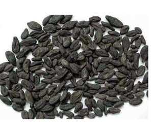 Harad Choti Khala pruneaux hongrois produits de fruits sucrés et sains pour manger cuisson sauvage-cultivé - Product Image 2