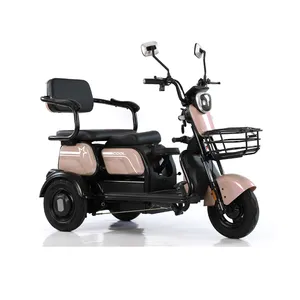 fast delivery electric tricycles three wheels adults 600W 48V electric motorcycles