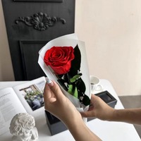 Mini bouquets de fleurs séchées, roses éternelles conservées avec une tige longue durée pour une demande en mariage, un mariage, la Saint-Valentin, la fête des mères, un anniversaire