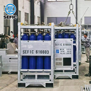 Estante para 16 Cilindros de Oxígeno/Argón DNV de 50L y 200 bar con Recubrimiento de Zinc para Plataformas Petroleras - Product Image 2