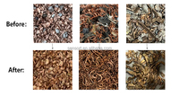 Trieuse de couleur de ferraille de cuivre en aluminium Zorba pour usine de recyclage
