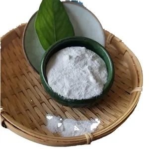 Bulk Soda Ash Powder 99.2% Purity 80-120 Mesh Particle Size Na2CO3 Sodium Carbonate Anhydrous Soda Ash Light