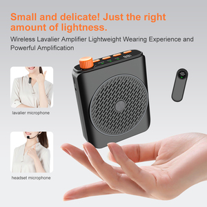 Amplificador de Audio funcional múltiple caliente 2025, amplificador de equipo de sonido de tamaño Mini portátil, altavoz para profesores con 2 micrófonos - Product Image 2