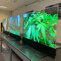 Écran OLED transparent personnalisé 1080P FHD AMOLED 55 pouces Écran numérique OLED transparent pour musée Exposition Hôtel