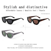 Lunettes de soleil œil-de-chat ovales épaisses rétro tendance, protection UV400, minimalistes, en acétate acrylique de haute qualité 2026 pour femmes