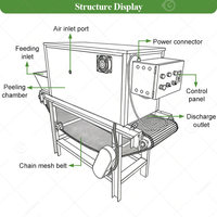 Nouvelle Machine Commerciale de 5000 kg pour l'Épluchage de l'Ail et des Oignons – Élimination des Peaux