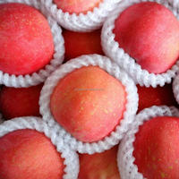 Chinees Fruit Verse Appel Fabrikant Verse Gala Appels/Rode Appel/Fuji Appel Prijs