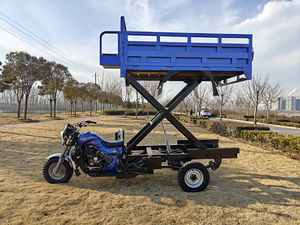 Triciclo Motorizado de 3 Ruedas, 250 CC, 4 Tiempos, Azul, con Elevación Vertical, en Oferta - Product Image 2