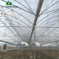 Serres agricoles multi-chapelles à structure métallique GT Arch Green House