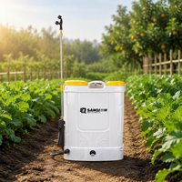 Pulvérisateur électrique à dos SANQI 16L, pulvérisateur agricole à batterie, double buse en option