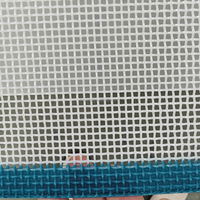 Maille filtrante en polyester à trous carrés