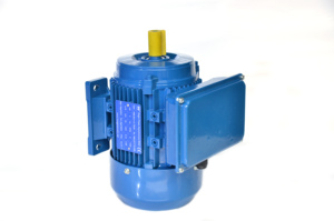 Motor Asíncrono Monofásico de Alta Velocidad HML/YL, Capacitancia Diáctica 802-4-0.75kw, Motores de Inducción - Product Image 3