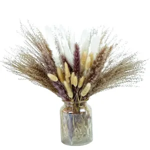 Herbe de pampa séchée naturelle Bouquet de décoration pour la maison Phragmites Bouquet de fleurs séchées pour les arrangements floraux de mariage Décorations pour la maison