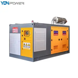 Factory Manufacture Parallel Operation ISO14001 Environmental Friendly Gas Fields Use 200KW Natural Gas Generator Set