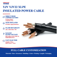 Câble d'alimentation en cuivre à 1, 2 ou 3 conducteurs YJV 95mm² 120mm² 185mm² 240mm² 300mm² Basse Tension 0.6/1KV Isolation XLPE PVC N2XY N2XH NYY