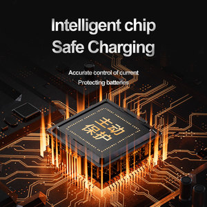 BP-SCL2 double chargeur électrique PD Compatible pour <span class=keywords><strong>Leica</strong></span> M M-P <span class=keywords><strong>M240</strong></span> M246 M262 caméra Micro USB TYPE-C LED BP-SCL2 double chargeur - Product Image 4