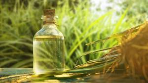 Aceite Esencial de Vetiver Puro y Natural DAIVIK GLOBAL, Destilado al Vapor, Aceite Aromático Herbal de Uttar Pradesh para Cuidado de la Piel, Masajes y Fragancia - Product Image 2