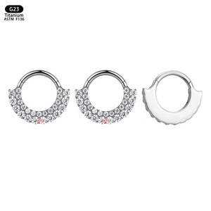 G23 <b>Titanium</b> Nose <b>Ring</b> 8mm With Zircon Channel Setting Everyday Wear Jewelry - Product Image 5