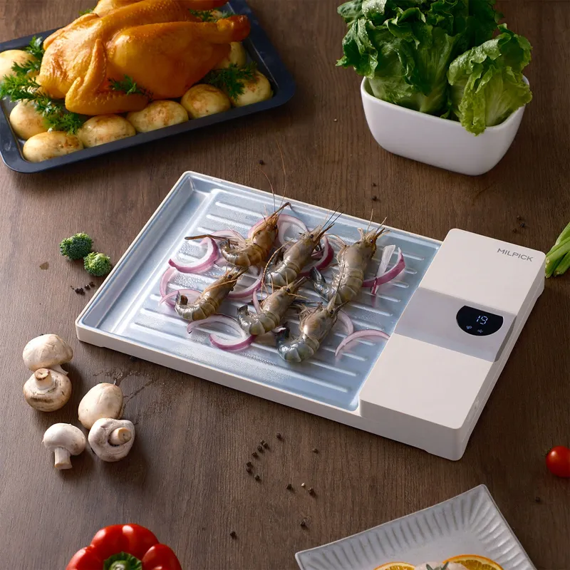 Groothandel Keuken Smart Dual Fan Tijdbesparende Fast Food Grade Snel Snel Vlees Steak Bevroren Voedsel Ontdooien