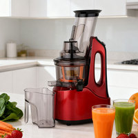 Groothandel Commerciële Multifunctionele RVS Elektrische Automatische Fruit Slow Juicer