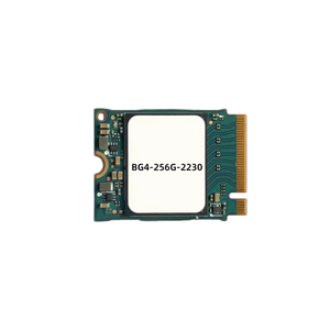 Disque SSD M.2 pour Ordinateur Portable et de Bureau BG4-256G-2230 - Product Image 1