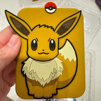 Vente en gros de boîtes cadeaux pour joueurs de cartes, accessoires de jeu de cartes à collectionner en chinois simplifié, ensemble d'affichage de cartes Eevee, vente chaude