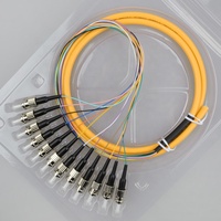 Pigtail Bundel Serat Optik 12-Core ST/UPC 0.9mm 1.5m G652D 9/125um Singlemode Kompatibel POE untuk Penggunaan Dalam Ruangan