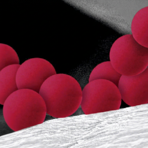 Microbilles de PS carboxylées teintées, tons rouge, vert, bleu, haute uniformité pour les tests de détection en laboratoire - Product Image 1