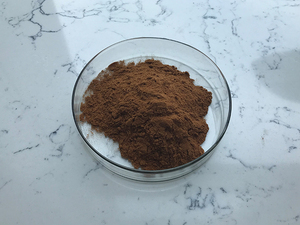 Chăm sóc sức khỏe nguyên liệu nấm bột 10%-50% polysaccharides <span class=keywords><strong>sparassis</strong></span> <span class=keywords><strong>crispa</strong></span> chiết xuất - Product Image 5