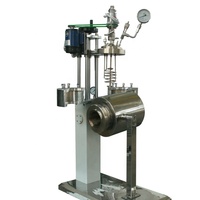 Réacteur de pyrolyse à flux direct à double enveloppe Borui 50L, réacteur chimique de craquage thermique à l'échelle pilote pour les déchets de biomasse et de plastique