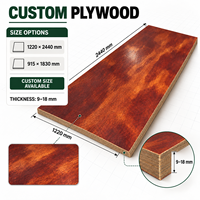 Mixed 1220x2440 915x1830 H20 Timber Beam Plywood Proof Sided Trimmed with Workshop Stadium Wall Nut Waler Loading