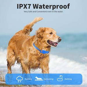 Tize-Collar de luz Led para perro, accesorio de diseño atractivo, a la moda, recargable - Product Image 3