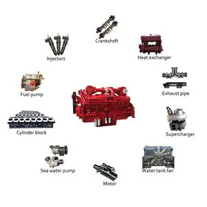 Para Cummins Marine Diesel Engine Parts NT855 KTA19 KTA38 KTA50 Bomba de inyección de combustible diésel 4951350 4999486 4999482 4999483