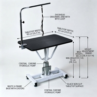 Table de toilettage vétérinaire professionnelle hydraulique robuste avec pompe de levage et bras supérieur pour la vente en gros