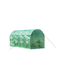 Rumah Kaca Mini Grosir Tahan UV Berbahan Plastik PE, Terowongan Masuk, Mudah Dirakit, Gaya Modern, Rangka Baja Galvanis