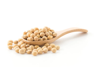 Poudre de lécithine de soja biologique de qualité alimentaire 30% - Product Image 3