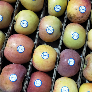 Orshang nhãn nhỏ đặc biệt xách tay cầm tay máy dán nhãn giá Logo Sticker dán nhãn máy - Product Image 5