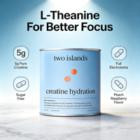 Poudre d'hydratation à la créatine, supplément d'électrolytes à la créatine, L-théanine, poudre de créatine, boisson d'hydratation pour le fitness