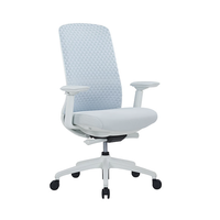 Chaise de bureau ergonomique professionnelle robuste avec fonction de levage, mobilier de bureau, chaise d'ordinateur, chaise de bureau