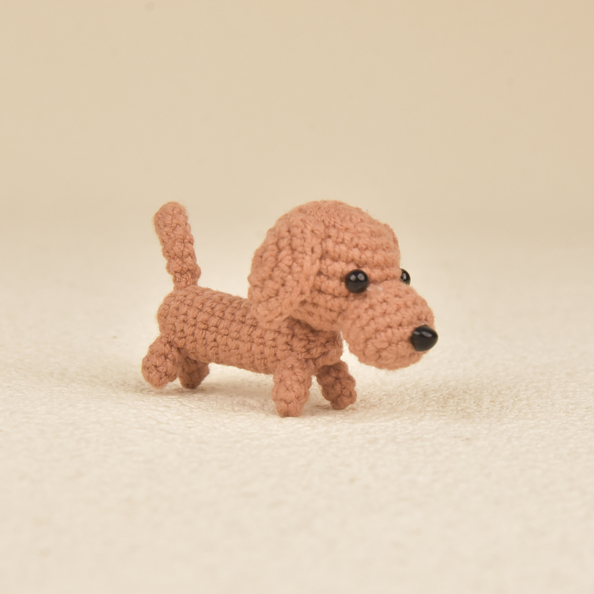 Un cane