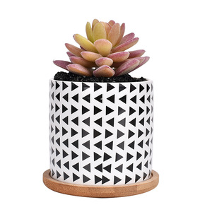 Pot de fleurs géométrique en céramique de 3,5 pouces <span class=keywords><strong>pour</strong></span> <span class=keywords><strong>plantes</strong></span> succulentes, idéal <span class=keywords><strong>pour</strong></span> l'intérieur et l'<span class=keywords><strong>extérieur</strong></span>, <span class=keywords><strong>pour</strong></span> la maison et le jardin - Product Image 5