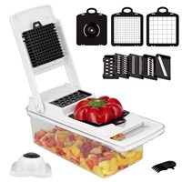 2025 Nieuwe Multifunctionele Verwisselbare Messen Fruitsnijmachine Rasp Shredder Groente Chopper Cutter Met Afvoermand Container