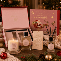 Coffret de Parfum Festif Pomme Rose Tonka Marque Blanche 100ml EDP pour Femme, Emballage Cadeau, Fabricant pour Marques de Parfums en Ligne