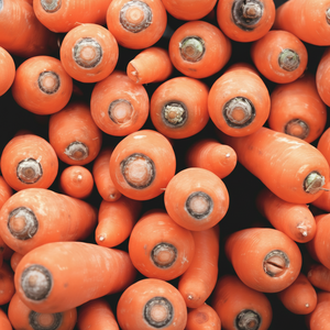 Aceite esencial de semilla de zanahoria pura de grado terapéutico Embalaje privado personalizado con etiquetado personalizado - Product Image 1