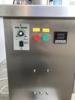 Machine de remplissage de piston à tête unique pour mayonnaise/ketchup avec trémie de chauffage et de mélange