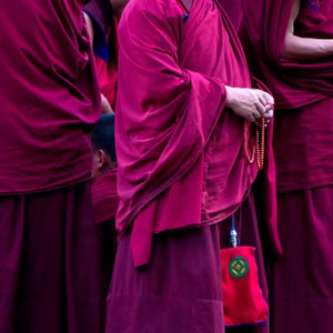 Tela de camiseta de poliéster de alta calidad 100%, tela de algodón de tejido liso - Product Image 1