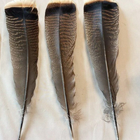 Plume de cheveux naturelle plume de dinde pour coiffe chapeau Costume carnaval artisanat bricolage fête mariage maison décor floral