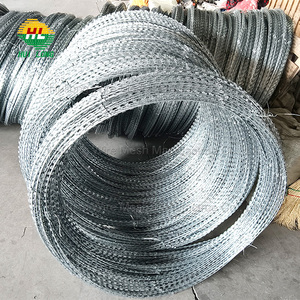 Fil barbelé plat en acier galvanisé sur bobine - 50m - Product Image 1